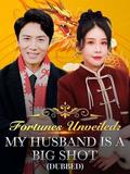 Fortunes Unveiled: My Husband Is a Big Shot (DUBBED) poster