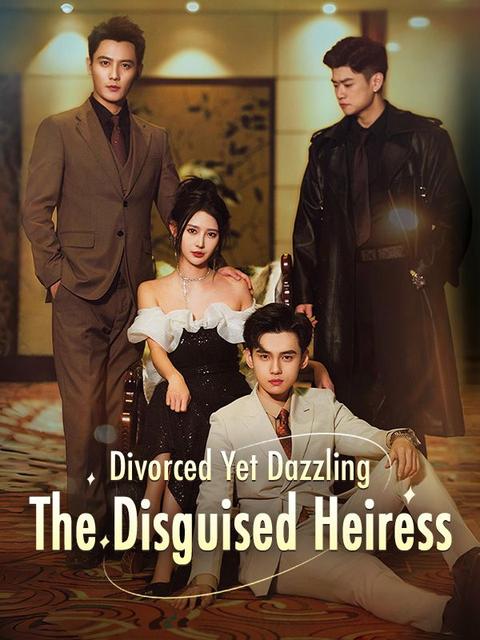 Divorced Yet Dazzling: The Disguised Heiress