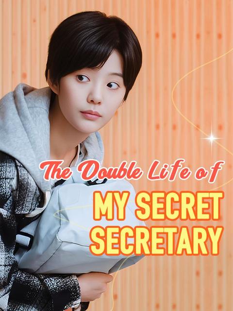 The Double Life of My Secret Secretary