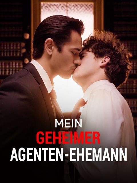 Mein geheimer Agenten-Ehemann