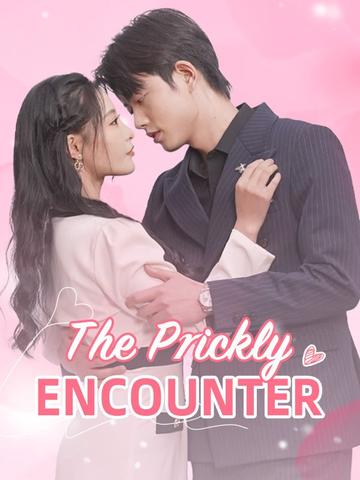 The Prickly Encounter