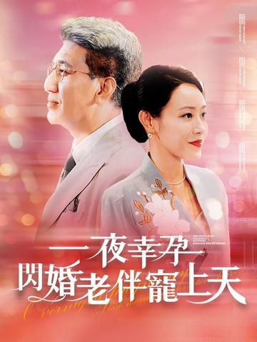 一夜幸孕,閃婚老伴寵上天