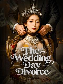 The Wedding Day Divorce poster