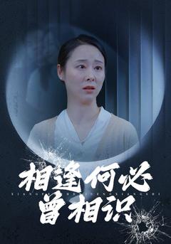 相逢何必曾相识