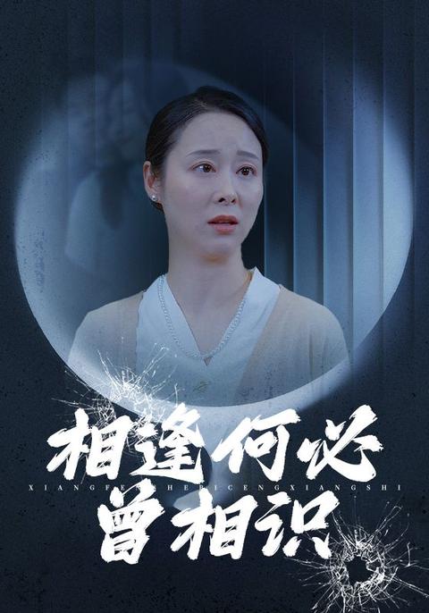 相逢何必曾相识