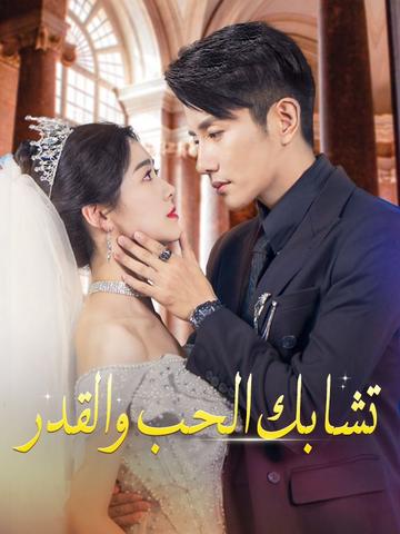 تشابك الحب والقدر