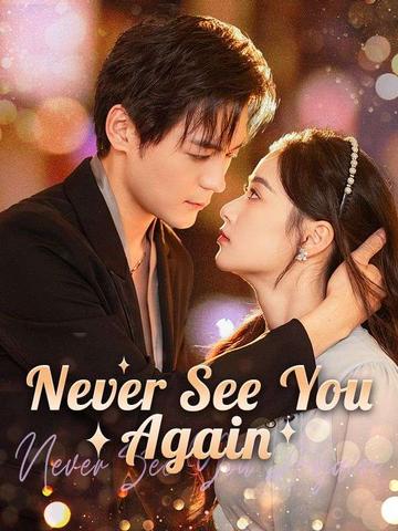 Never See You Again