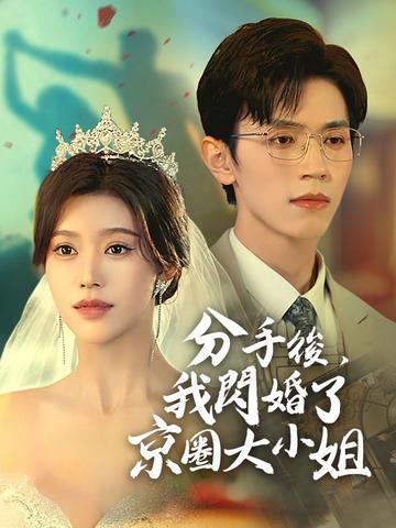 分手後,我閃婚了京圈大小姐