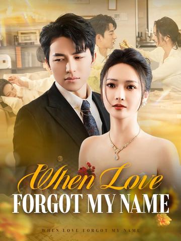When Love Forgot My Name