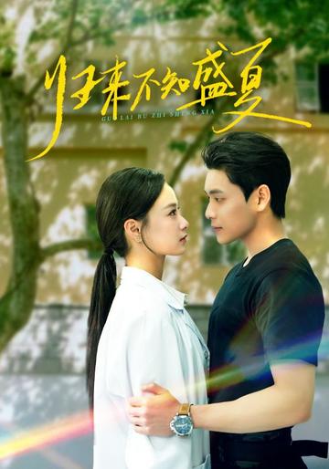 归来不知盛夏