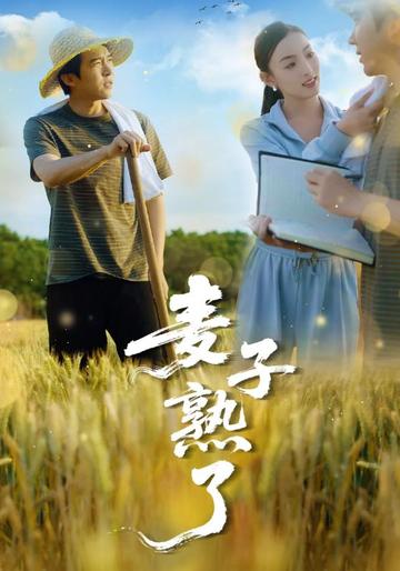麦子熟了