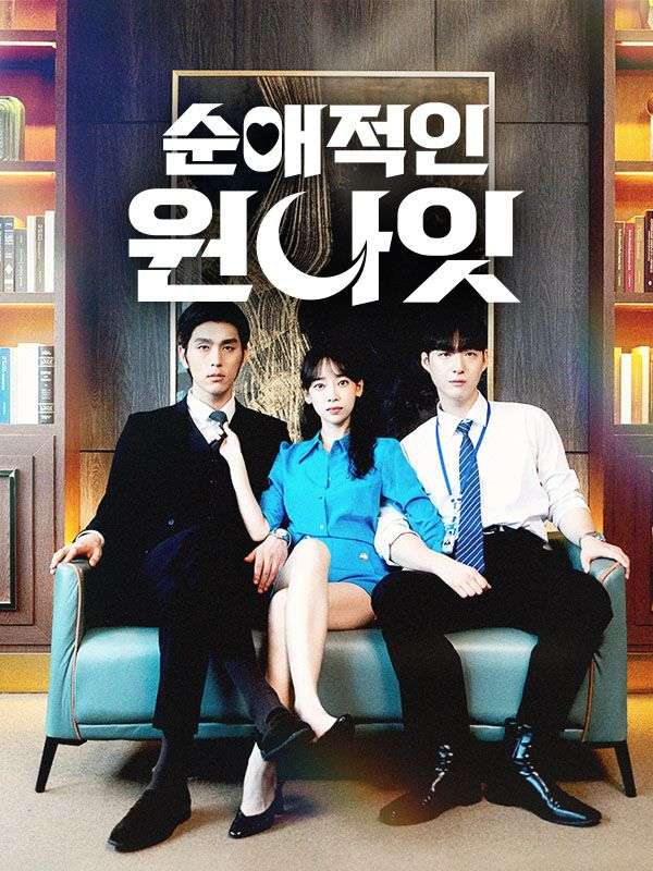 순애적인 원나잇