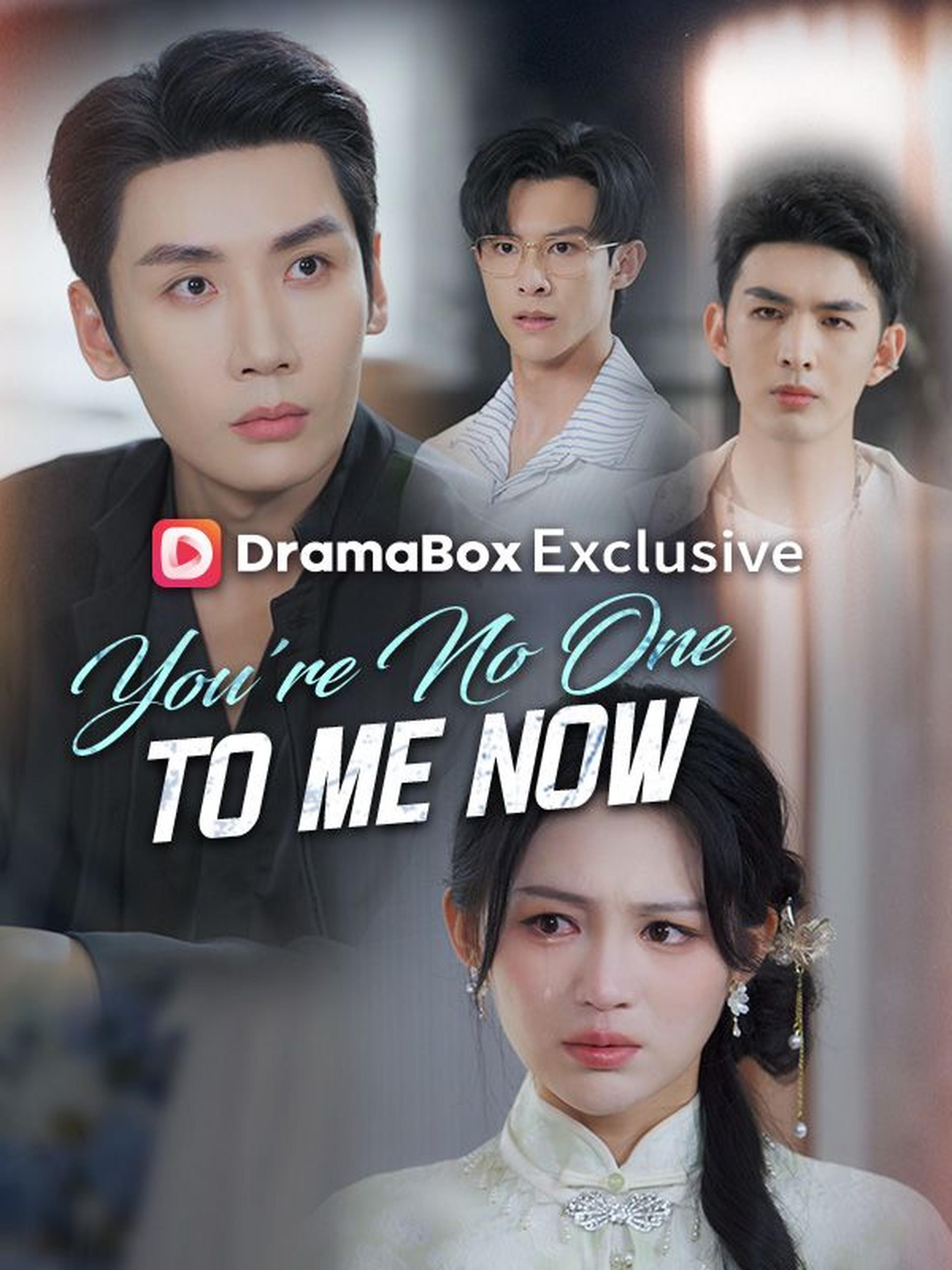 You're No One to Me Now (DUBBED)