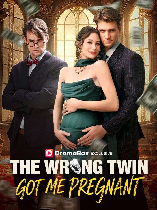 The Wrong Twin Got Me Pregnant	