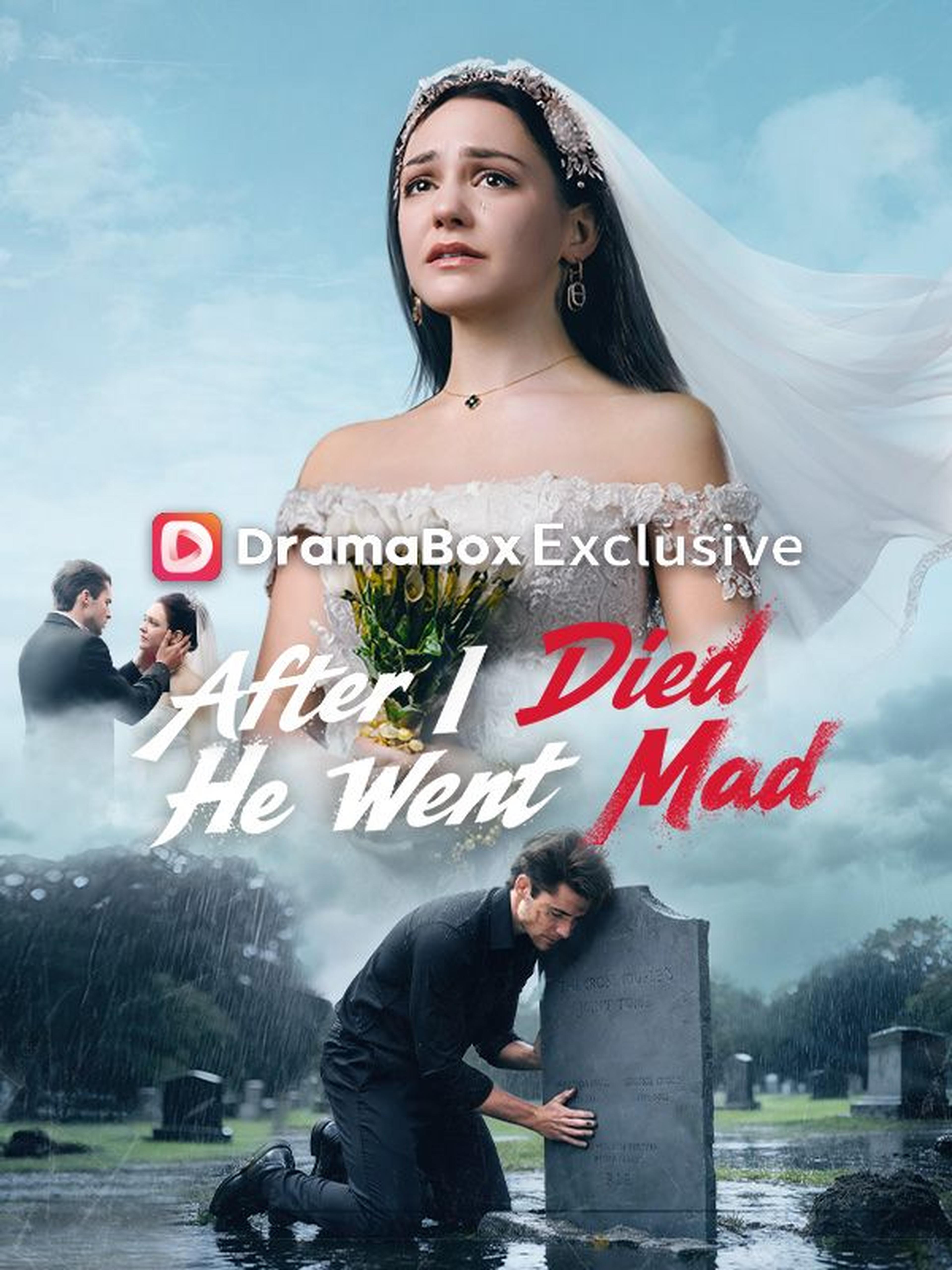 After I Died He Went Mad