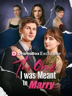 The One I was Meant to Marry