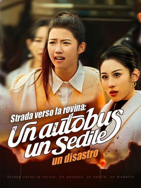 Strada verso la rovina: Un autobus, un sedile, un disastro