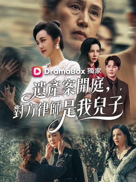 遺產案開庭,對方律師是我兒子