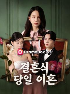 결혼식 당일 이혼