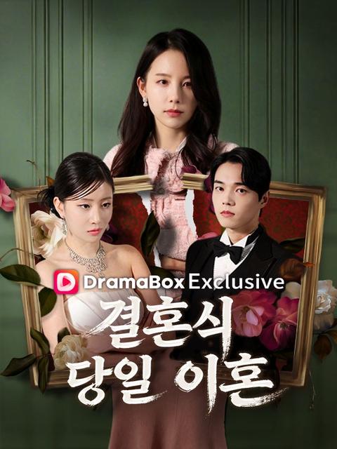 결혼식 당일 이혼