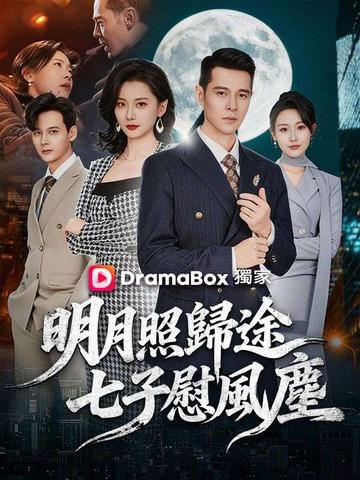 明月照歸途,七子慰風塵