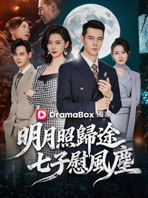 明月照歸途，七子慰風塵