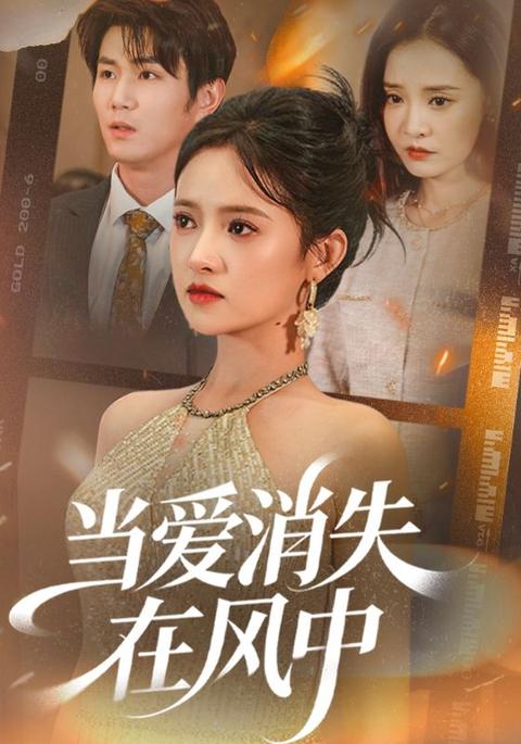 以風之名，葬我愛