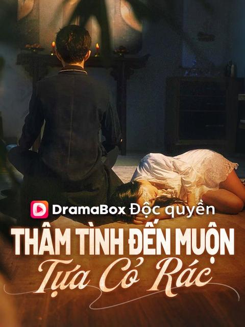 Thâm Tình Đến Muộn Tựa Cỏ Rác