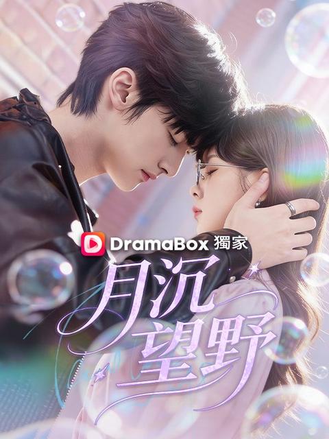 月沉望野