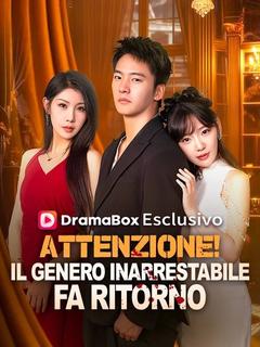 Attenzione! Il Genero Inarrestabile Fa Ritorno