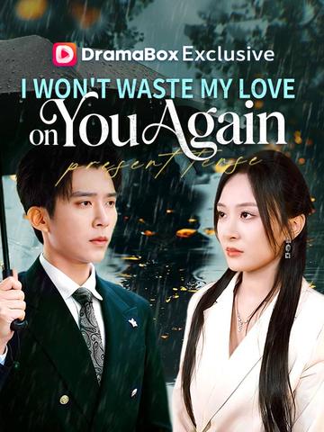 I Won't Waste My Love on You Again