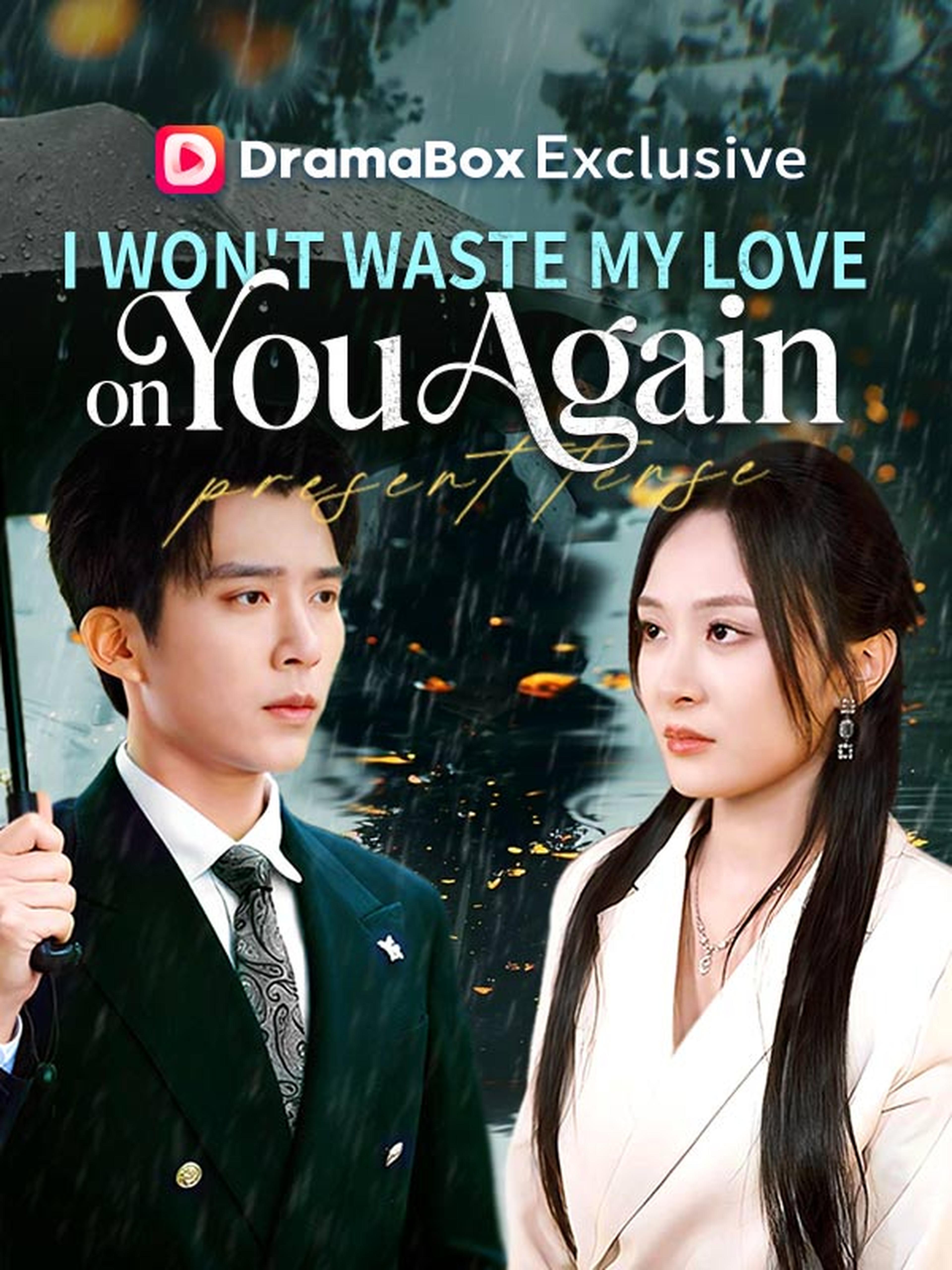 I Won't Waste My Love on You Again