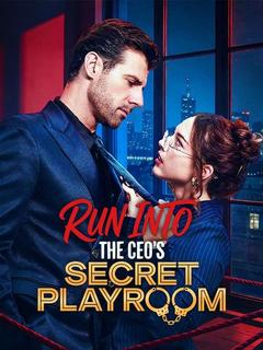 Run Into the CEO's Playroom