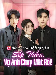 Sếp Thẩm, Vợ Anh Chạy Mất Rồi!