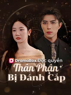 Thân Phận Bị Đánh Cắp