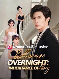 Billionaire Overnight: Inheritance of Glory(DUBBED)