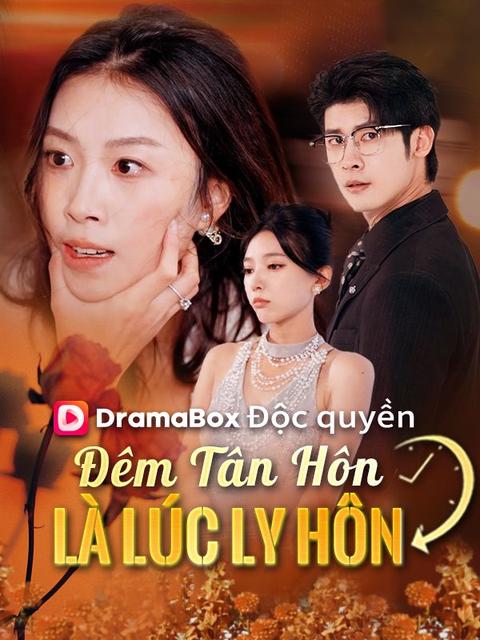 Đêm Tân Hôn Là Lúc Ly Hôn