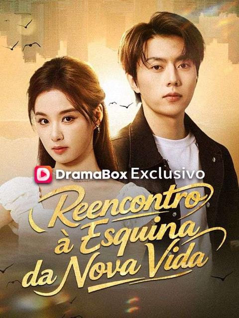 Reencontro à Esquina da Nova Vida (Dublado)