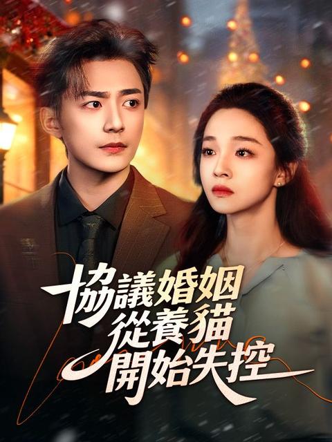 協議婚姻從養貓開始失控