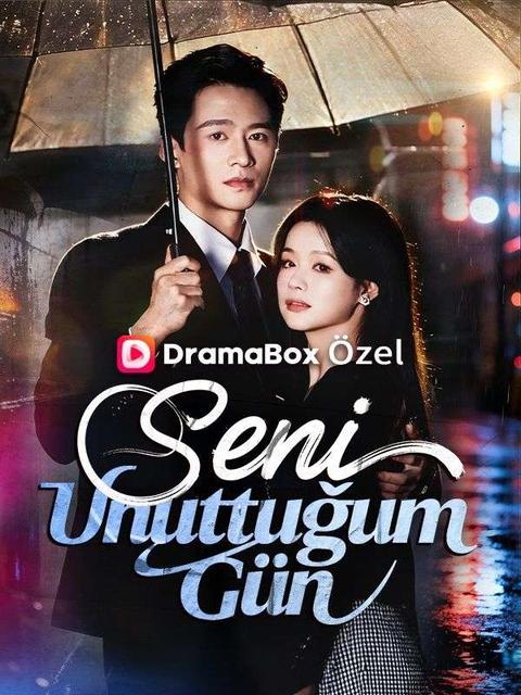 Seni Unuttuğum Gün