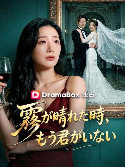 霧が晴れた時、もう君がいない（吹き替え）