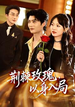 暗刺玫瑰,ALL IN破局