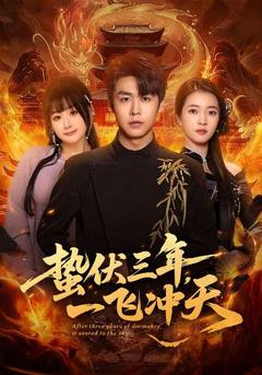 蛰伏三年,一飞冲天