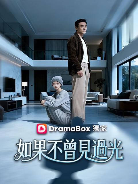 如果不曾見過光