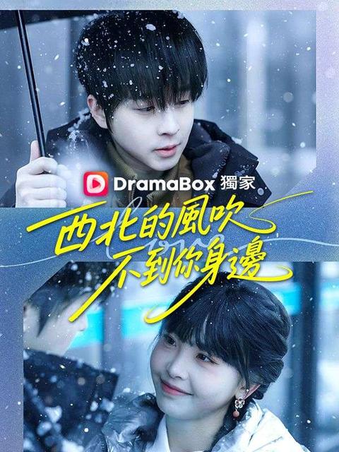 西北的風吹不到你身邊
