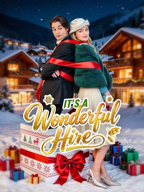 It's A Wonderful Hire