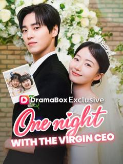 One Night With the Virgin CEO