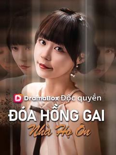 Đóa Hồng Gai Nhà Họ Ôn