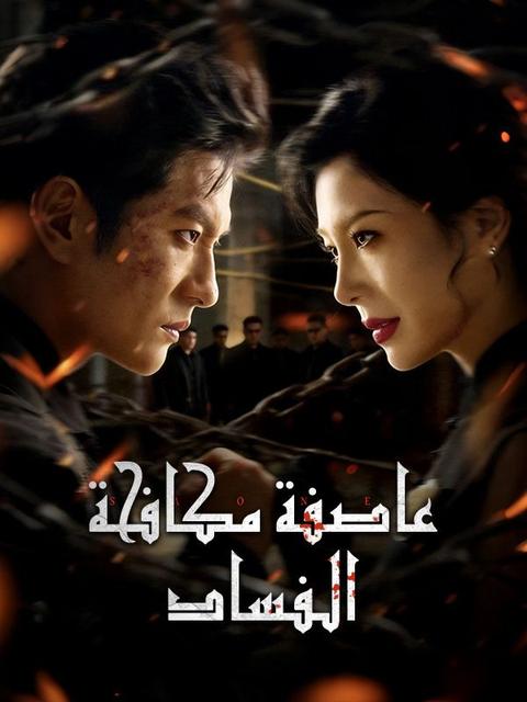 عاصفة مكافحة الفساد