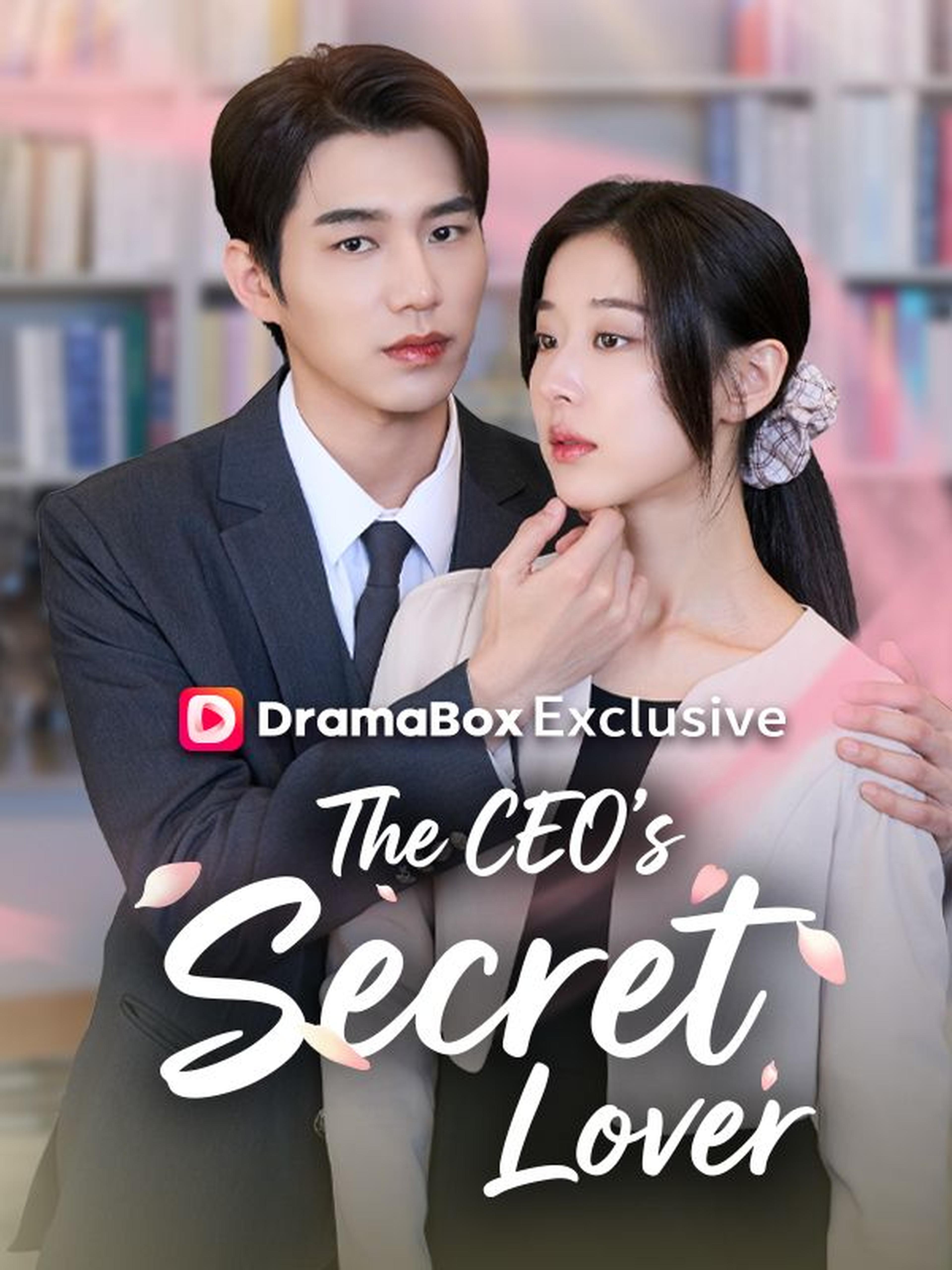 The CEO's Secret Lover